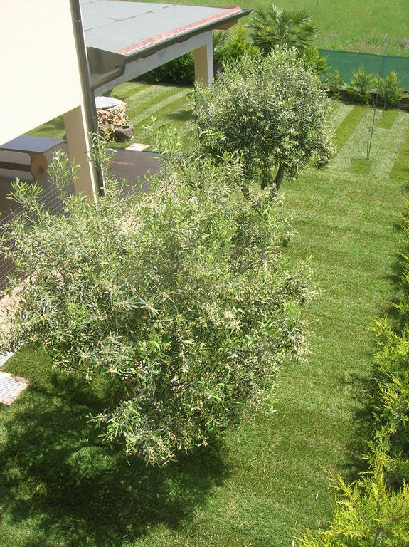 B&B S'Ena Suni Exterior foto